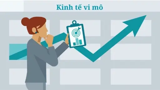 Nguyên lý kinh tế học vi mô - Nguyên lý kinh tế học vi mô
